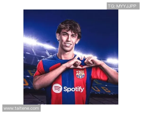 菲利克斯女球星头像解析 展现足球场上的新生代力量与独特魅力